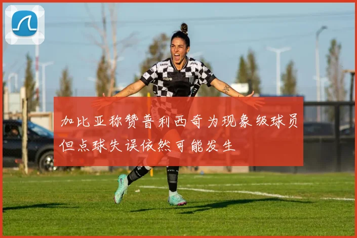 加比亚称赞普利西奇为现象级球员但点球失误依然可能发生