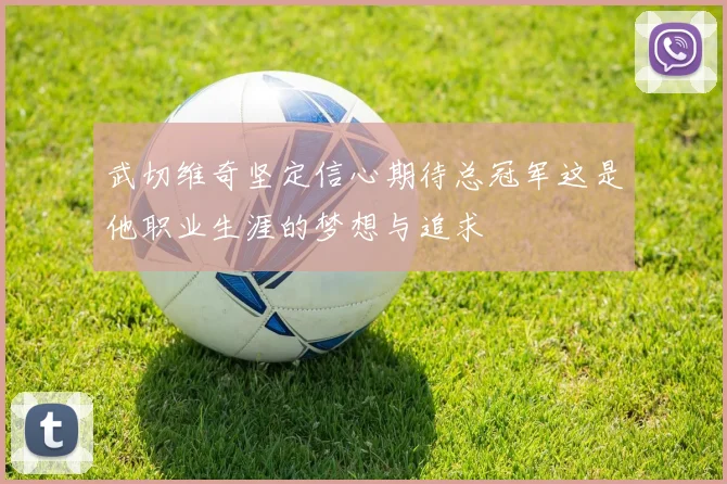 武切维奇坚定信心期待总冠军这是他职业生涯的梦想与追求