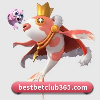专业赛事服务, 为你而来 | best